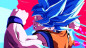 DRAGON BALL FighterZ - Nintendo Switch DRAGON BALL FighterZ - Nintendo Switch