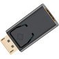 Adaptateur DisplayPort/HDMI Adaptateur DisplayPort/HDMI