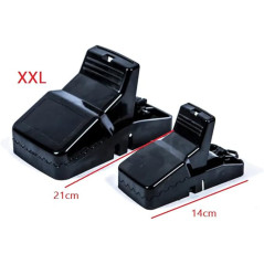 Piege a Rat disponible.