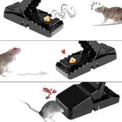 Piege a Rat disponible.