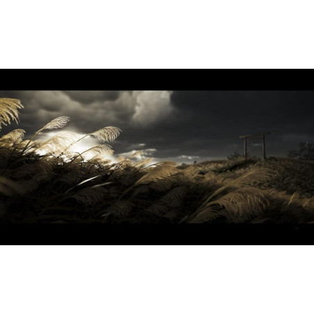 Ghost Of Tsushima Director's Cut (Playstation 5)