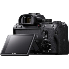 Sony Alpha 7 III | Appareil Photo Numérique Hybride - Electroniger