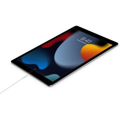 Apple Câble USB-C vers Lightning disponible.