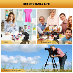 GRIFEMA Trepied Smartphone Pied Appareil Photo Pliable, disponible.