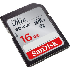 Carte Mémoire SDHC 16 Go sur Electroniger.